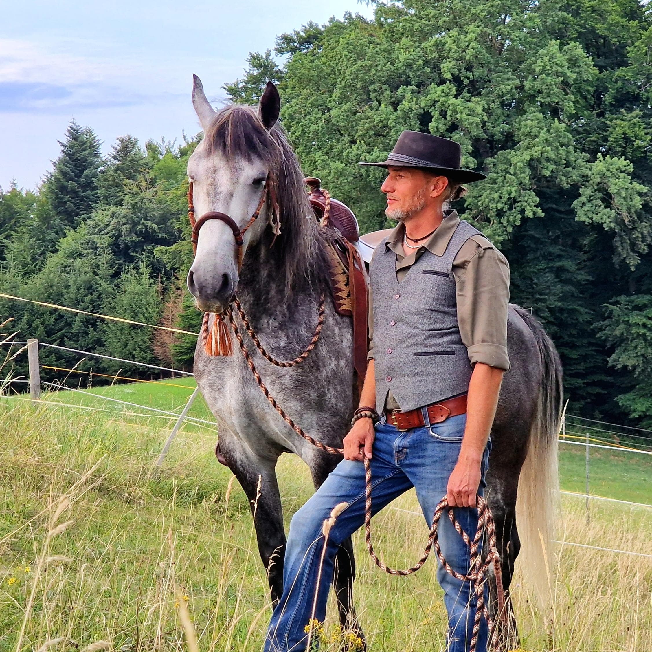 Bavarian Horseman Schulpferd Sony (Lipizzaner Wallach)