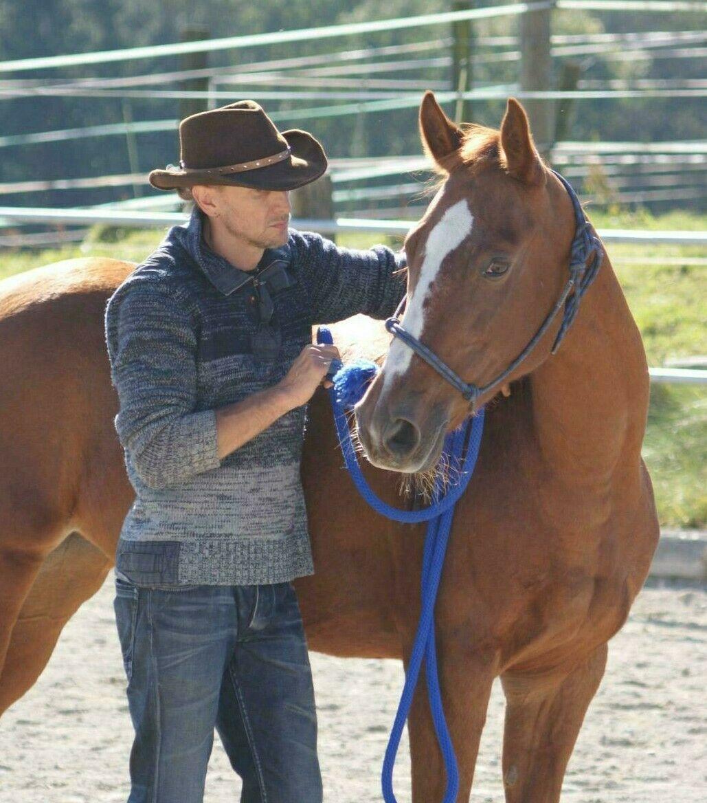 Horsemanship Pferd Holger Heiß mit seinem Pferd Summer, bei der Bodenarbeit.